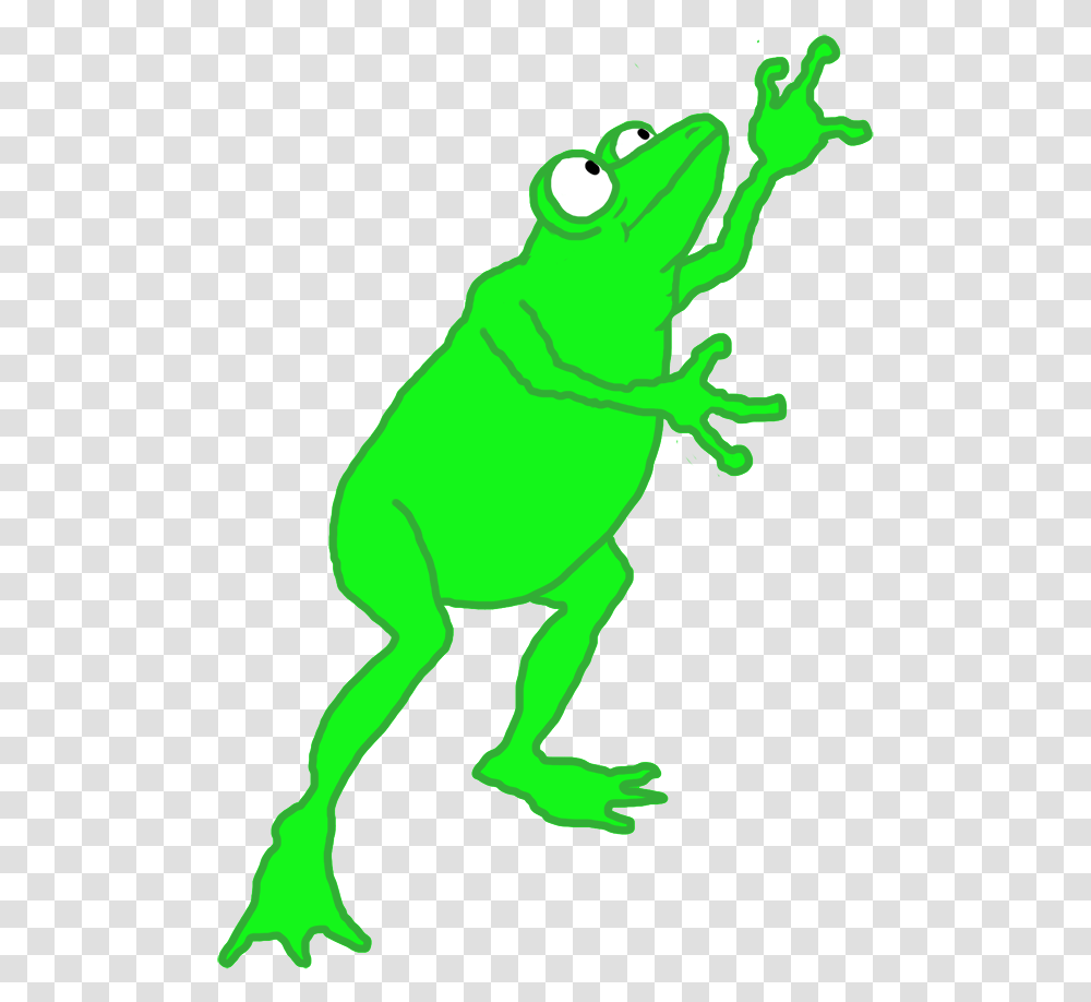 Frogs Clipart, Animal, Amphibian, Wildlife, Person Transparent Png