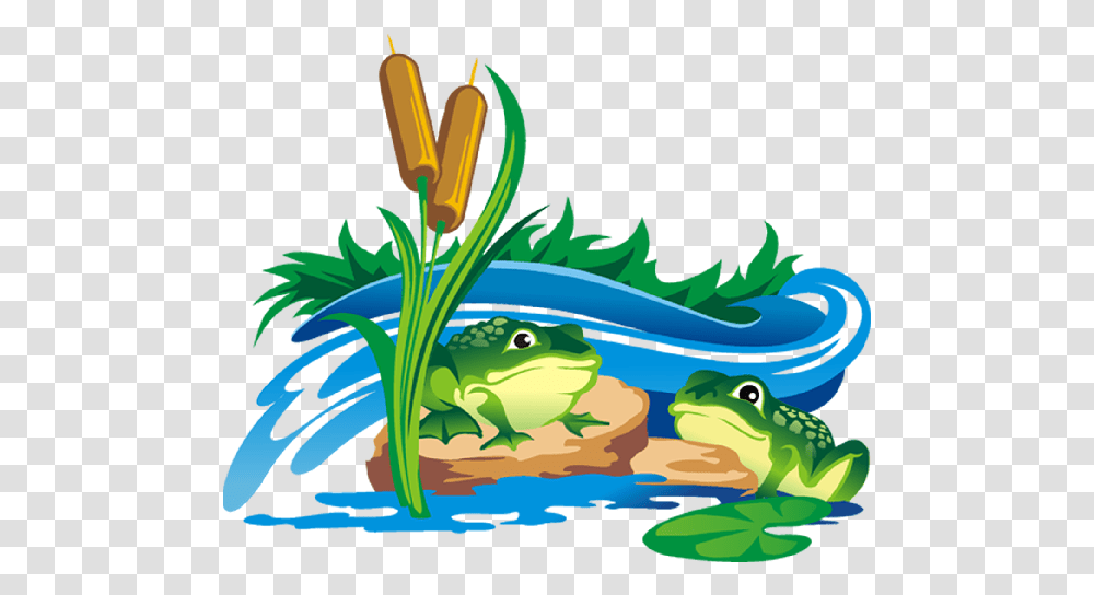 Frogs Clipart Clear Background Cat Tail Plant, Animal, Amphibian, Wildlife, Bird Transparent Png
