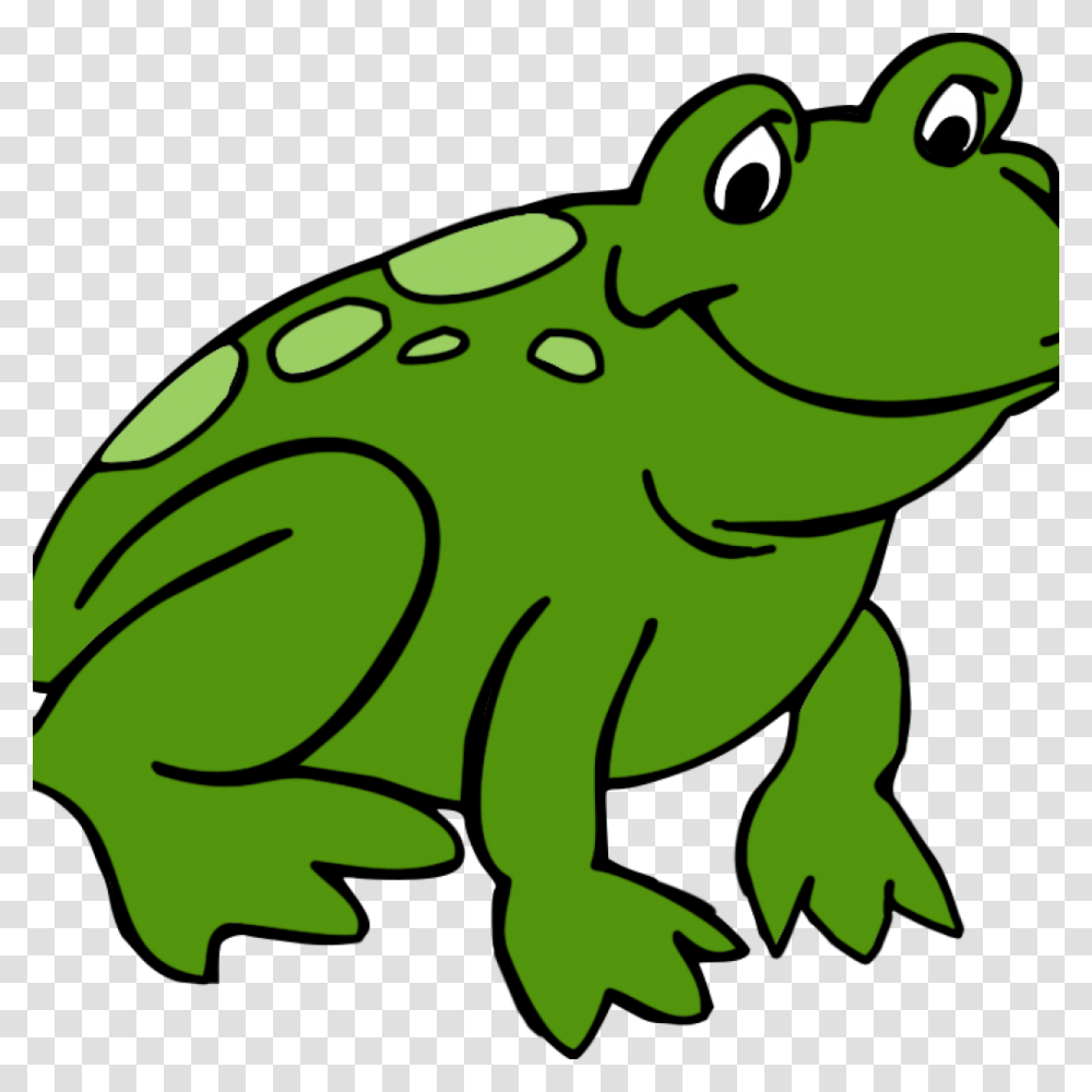 Frogs Clipart M Free Frog Clip Art Drawings And Colorful Images, Animal, Amphibian, Wildlife, Reptile Transparent Png