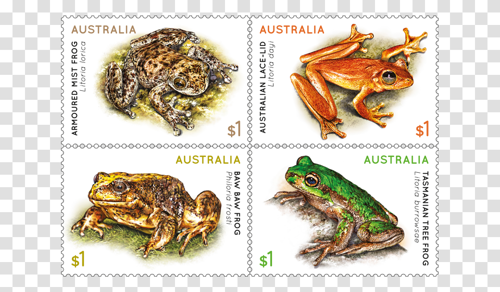 Frogs Stamps Australia, Lobster, Seafood, Sea Life, Animal Transparent Png
