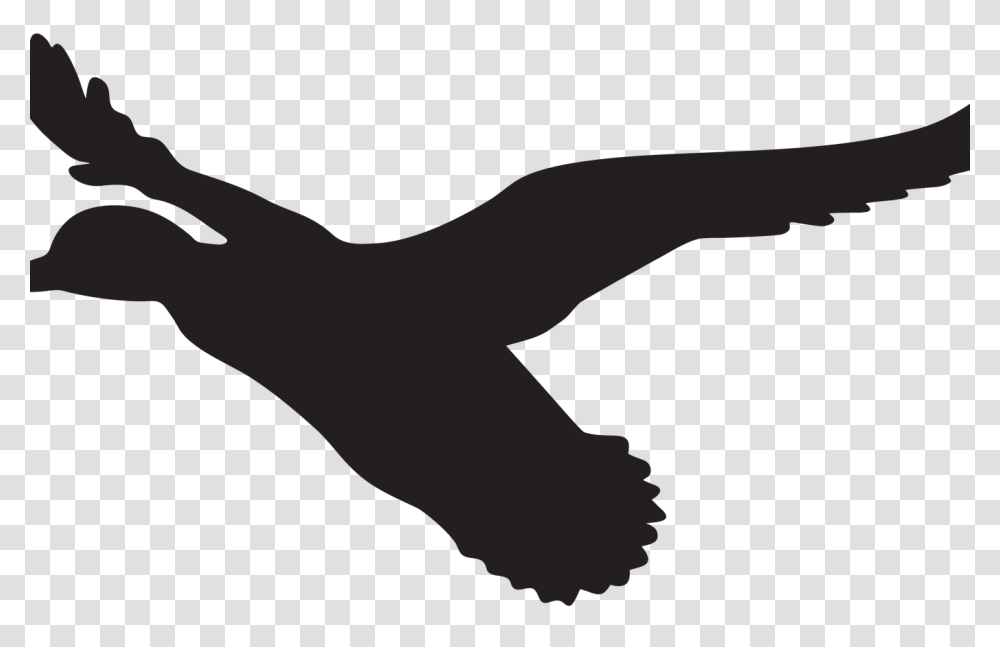 From The Pond Clip Art Hot Trending Now, Animal, Bird, Flying, Vulture Transparent Png