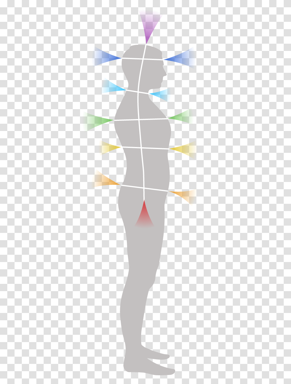 Front Amp Rear Chakras Front And Back Of Chakras, Person, Human, Plot, Face Transparent Png