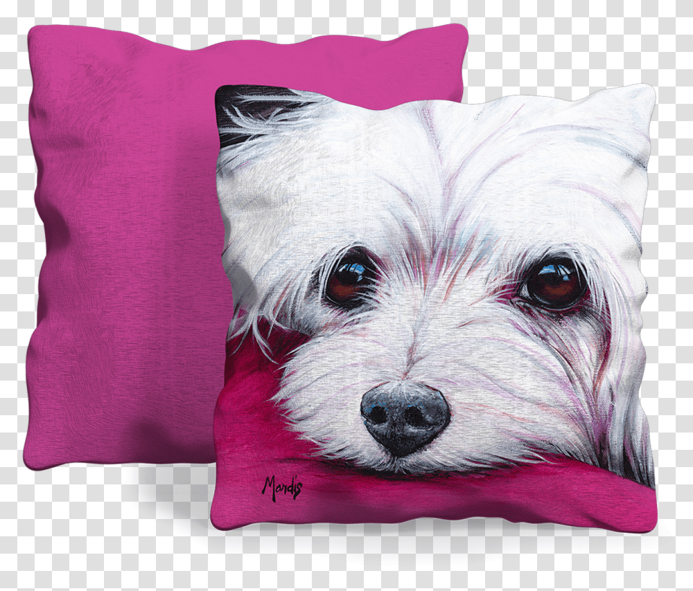Front And Back Of Pillow Maltese, Cushion, Dog, Pet, Canine Transparent Png