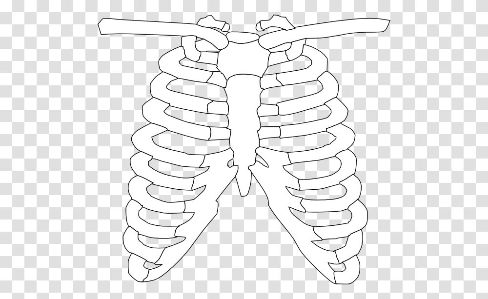Front Rib Cage Clip Art At Clker, Chess, Game, Spiral, Coil Transparent Png