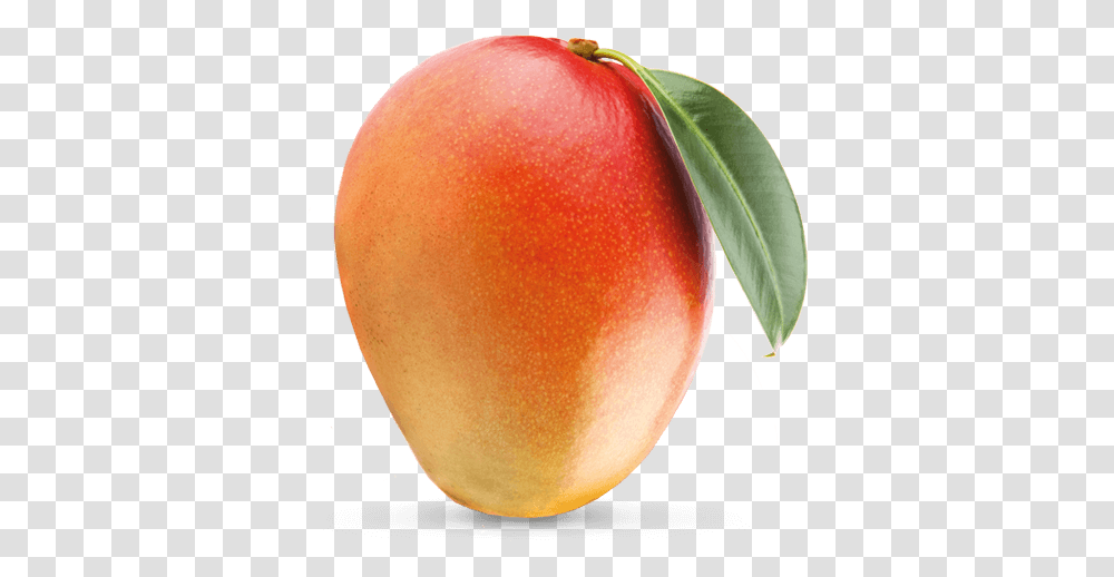 Front View Mango Mango With Invisible Background, Plant, Apple, Fruit, Food Transparent Png