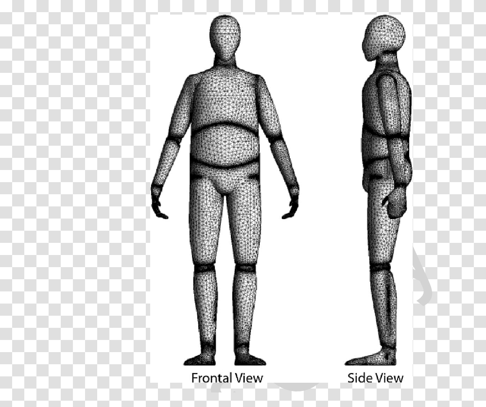 Frontal And Side Views Of The Meshed Human Body Computer Model, Person, Armor Transparent Png