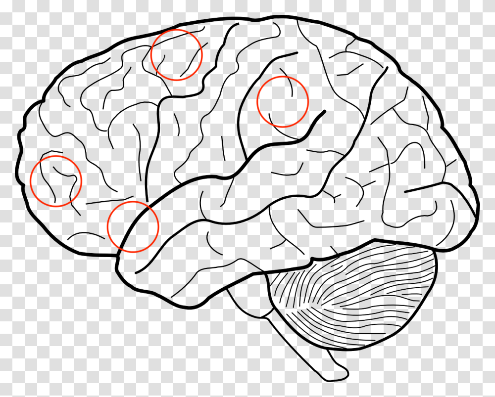 Frontal Lobe Clipart Brain Sketch, Eclipse, Astronomy, Outdoors, Nature Transparent Png