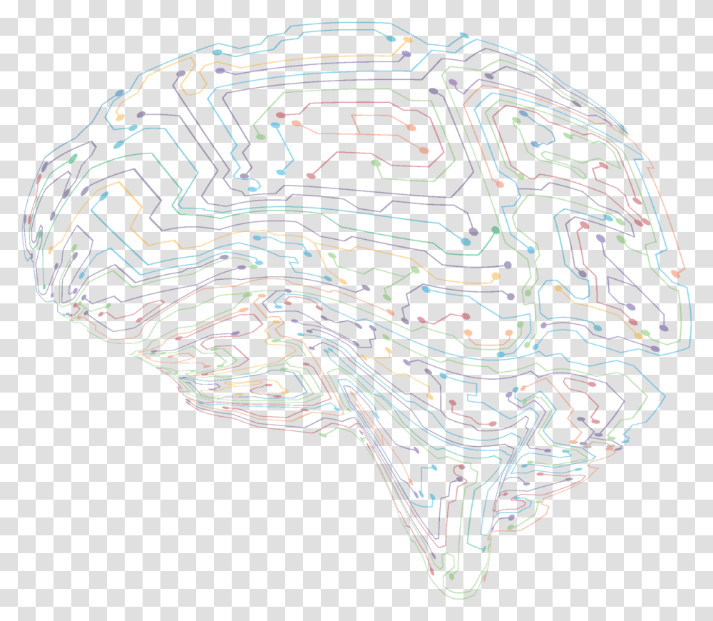Frontiers In Neural Circuits Sketch, Graphics, Art, Plot, Pattern Transparent Png