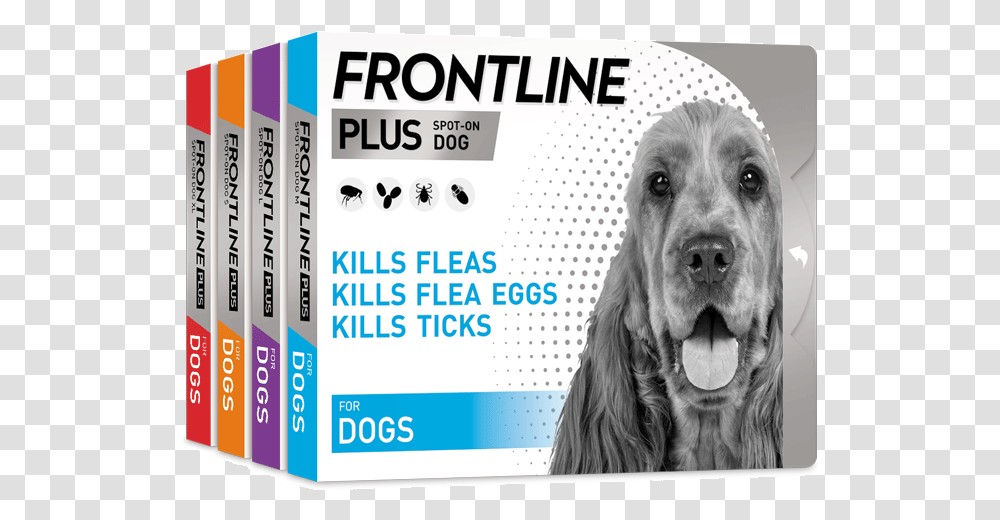 Frontline Plus Dog, Pet, Canine, Animal, Mammal Transparent Png