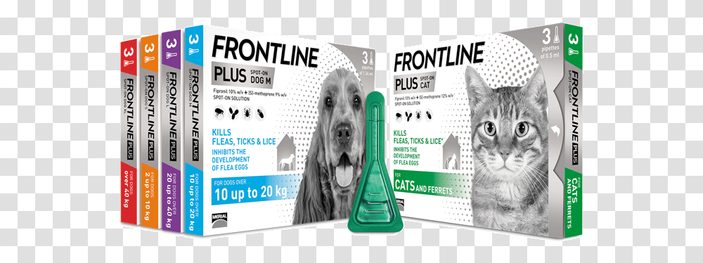 Frontline Spot On Flea Treatment For Cats And Dogs Frontline Plus Range, Paper, Poster, Advertisement Transparent Png