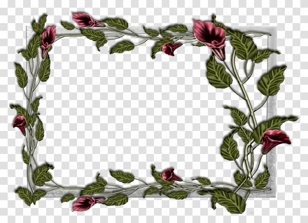 Frost Border Flower Frames Transparent Png