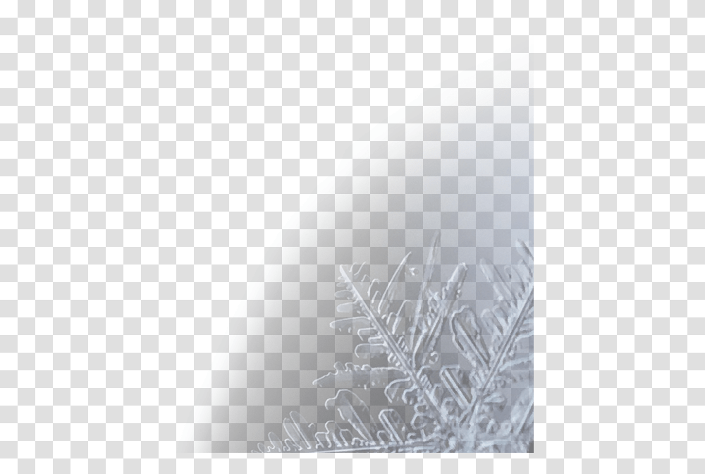 Frost, Apparel, Nature, Outdoors Transparent Png