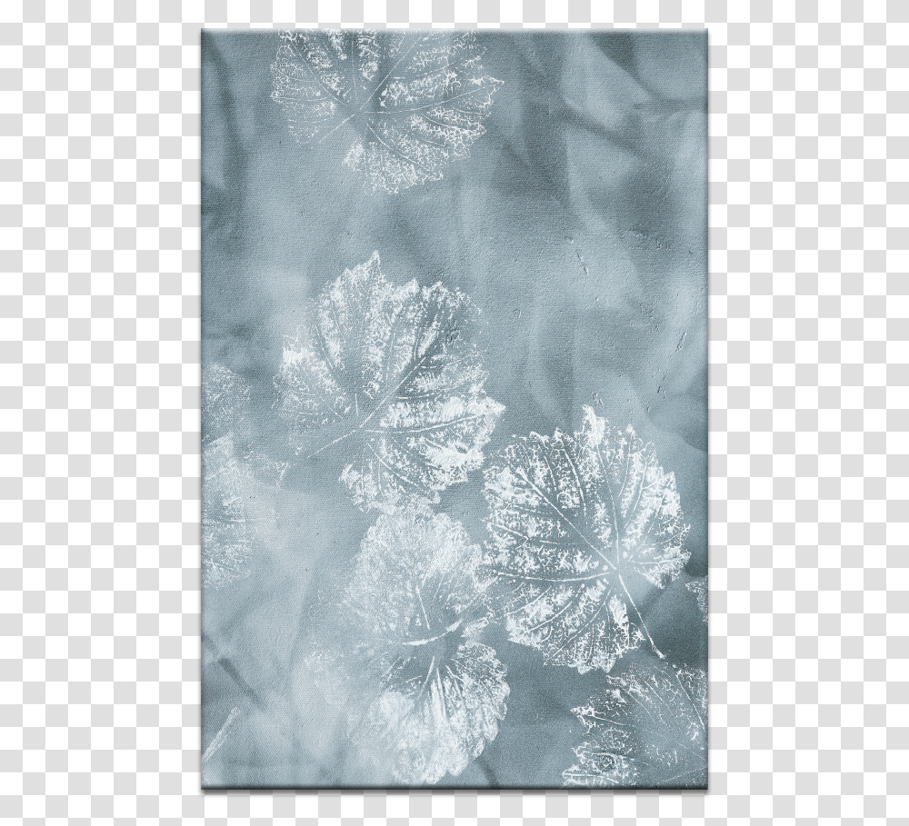 Frost, Ice, Outdoors, Nature, Snow Transparent Png