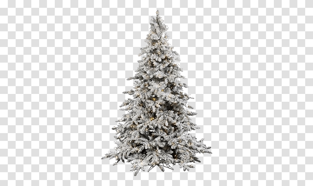 Frost Moodboard Niche Aesthetic Christmas Ft Flocked Christmas Tree, Ornament, Plant, Pine, Ice Transparent Png