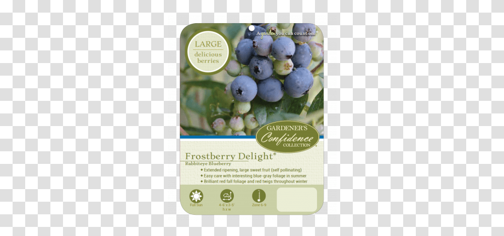 Frostberry Delight Fresh, Plant, Flyer, Poster, Paper Transparent Png