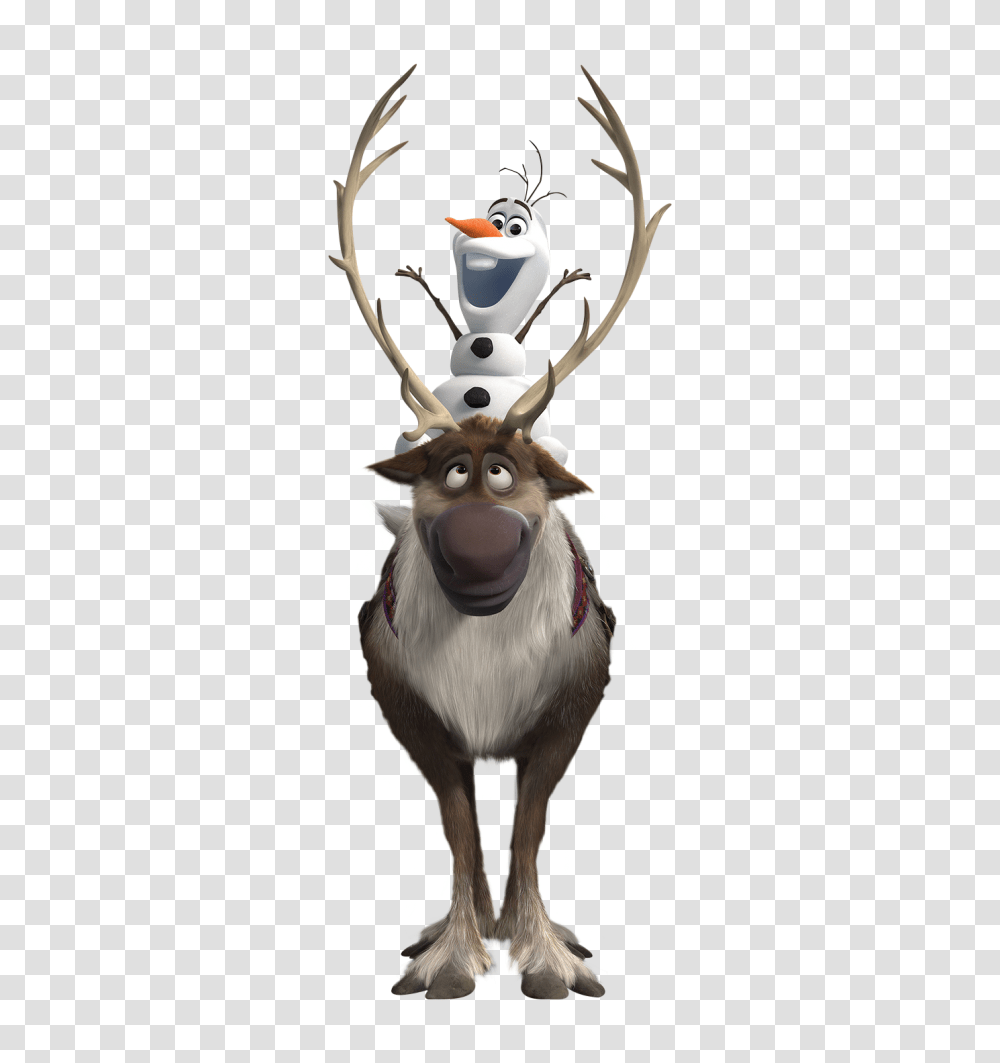 Frozen, Character, Antler, Deer, Wildlife Transparent Png