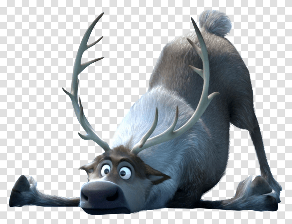 Frozen, Character, Elk, Deer, Wildlife Transparent Png