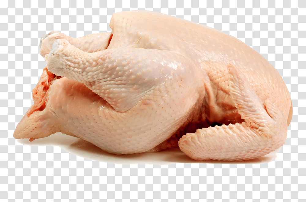 Frozen Chiken Broiler Chicken Meat, Animal, Poultry, Fowl, Bird Transparent Png