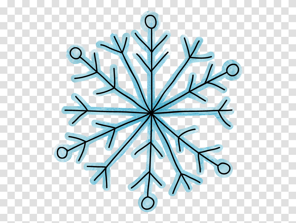 Frozen Party, Ornament, Pattern, Insect, Invertebrate Transparent Png