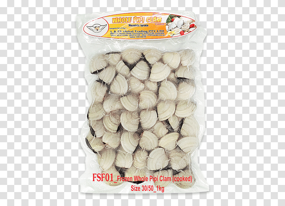 Frozen Whole Pipi Clam Size 3050 Seafood, Seashell, Invertebrate, Sea Life, Animal Transparent Png