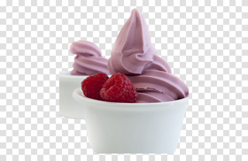 Frozen Yogurt, Plant, Cream, Dessert, Food Transparent Png