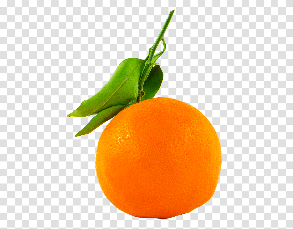 Fruit 960, Citrus Fruit, Plant, Food, Orange Transparent Png