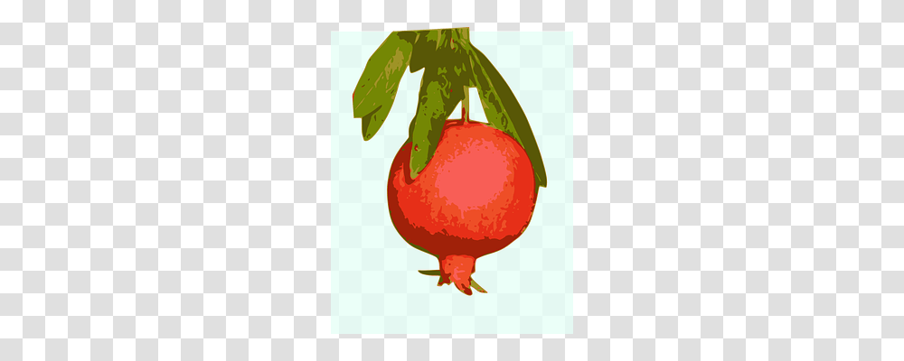 Fruit Food, Plant, Produce, Pomegranate Transparent Png