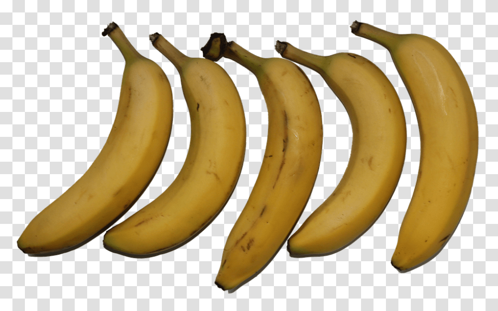 Fruit 960, Plant, Banana, Food Transparent Png