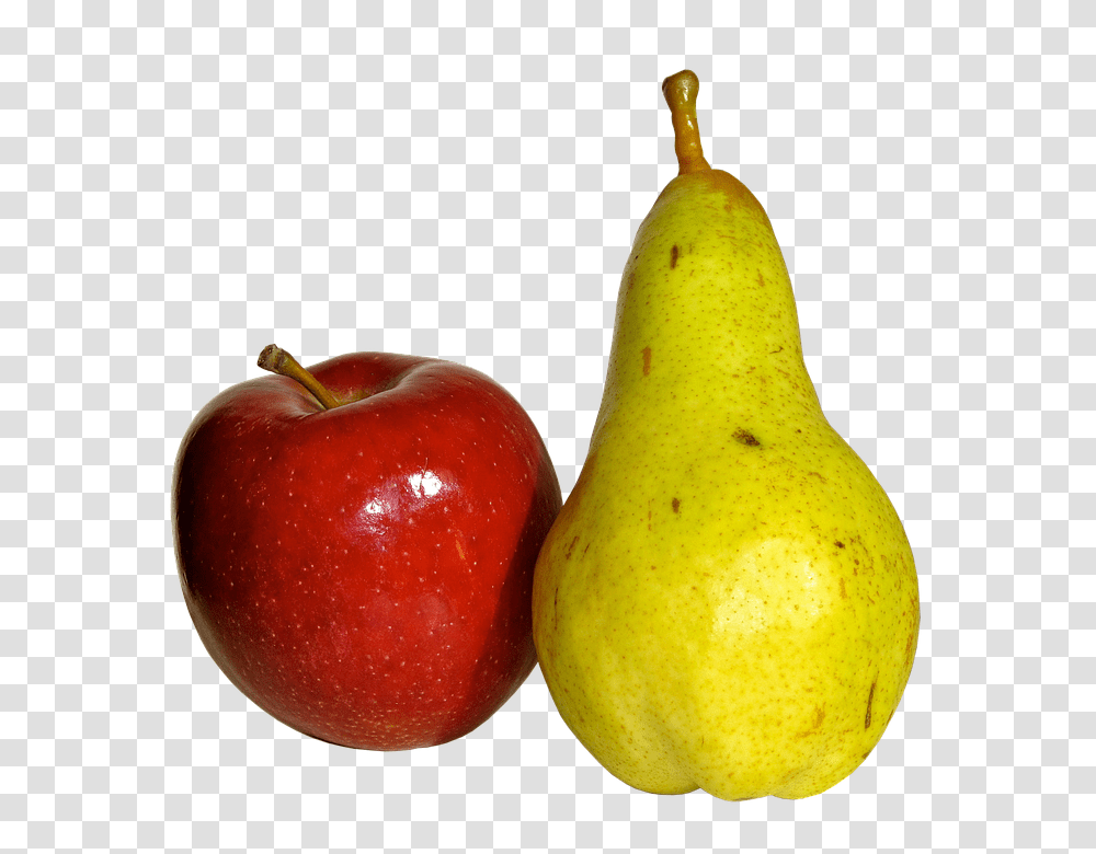 Fruit 960, Pear, Plant Transparent Png