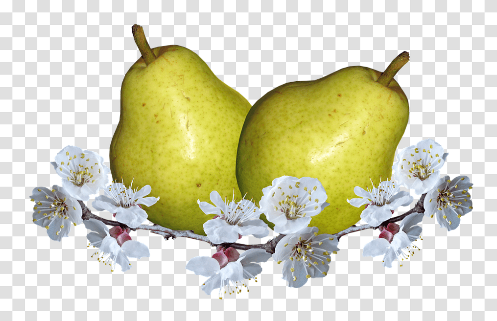 Fruit 960, Plant, Pear, Food Transparent Png