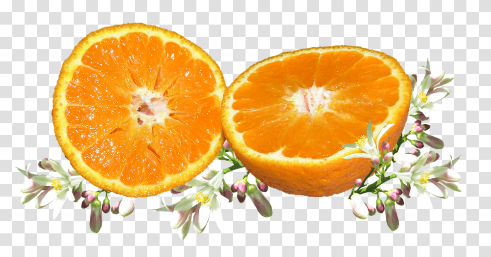 Fruit 960, Citrus Fruit, Plant, Food, Grapefruit Transparent Png