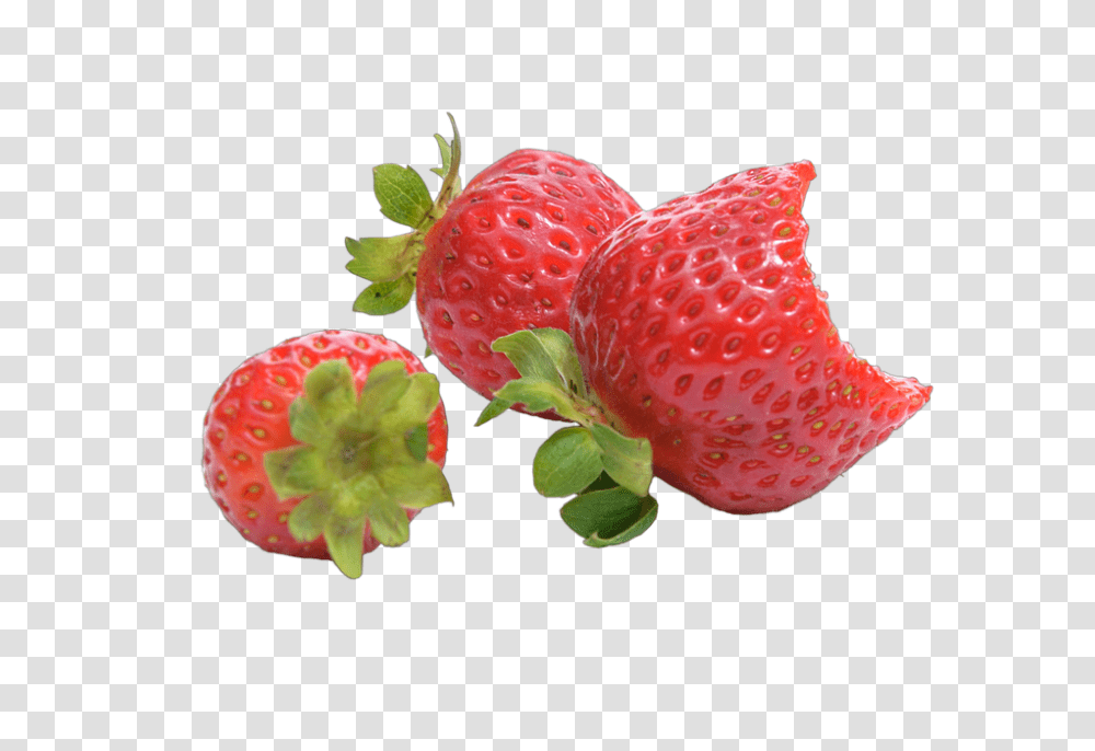 Fruit 960, Strawberry, Plant Transparent Png