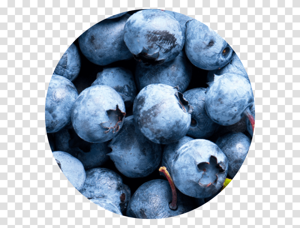 Fruit Acid From Blueberry Wirkstoff Fruit Ac, Plant, Food Transparent Png