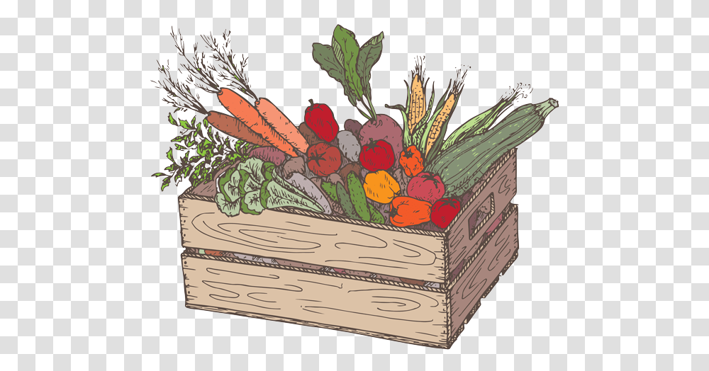 Fruit Amp Vegetable Box Sketch, Plant, Flower Transparent Png
