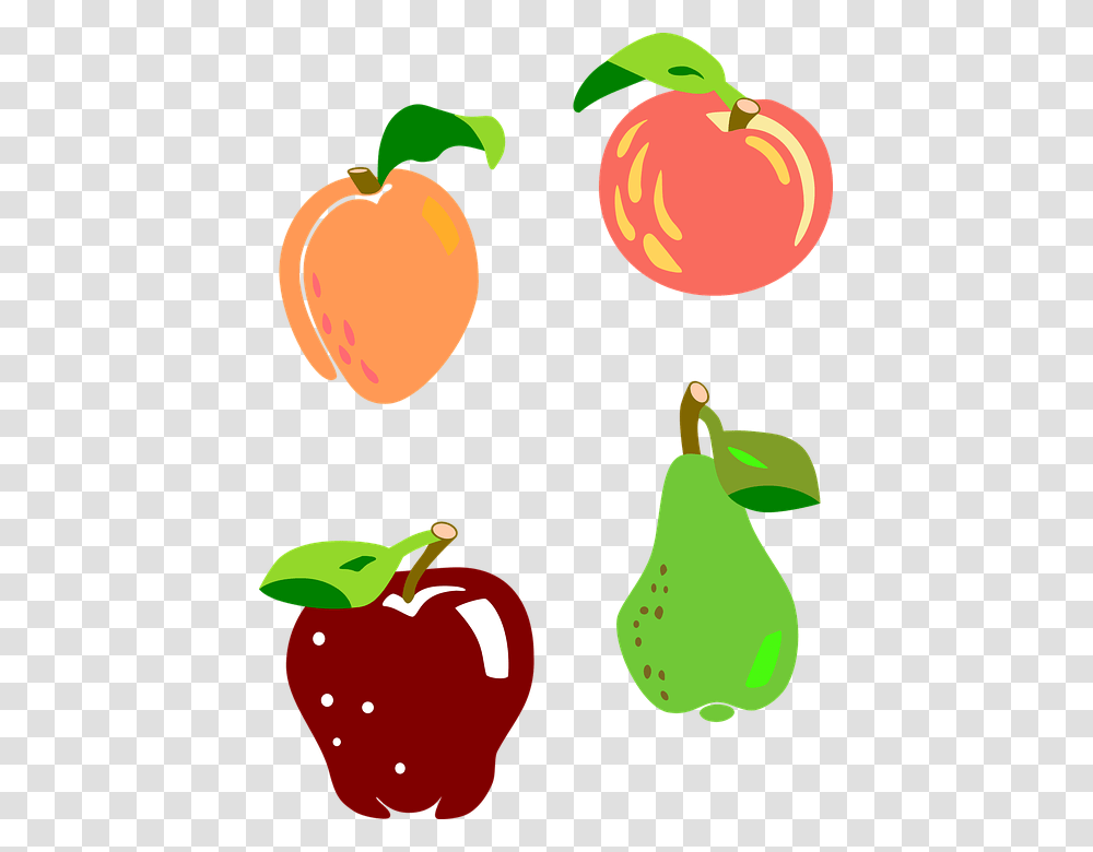Fruit Apple Pera Apricot Fishing Graphic Apricot, Plant, Food, Produce, Bird Transparent Png