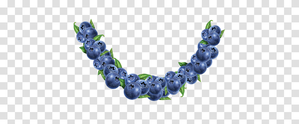 Fruit Bowl Blueberry, Plant, Food, Accessories, Accessory Transparent Png