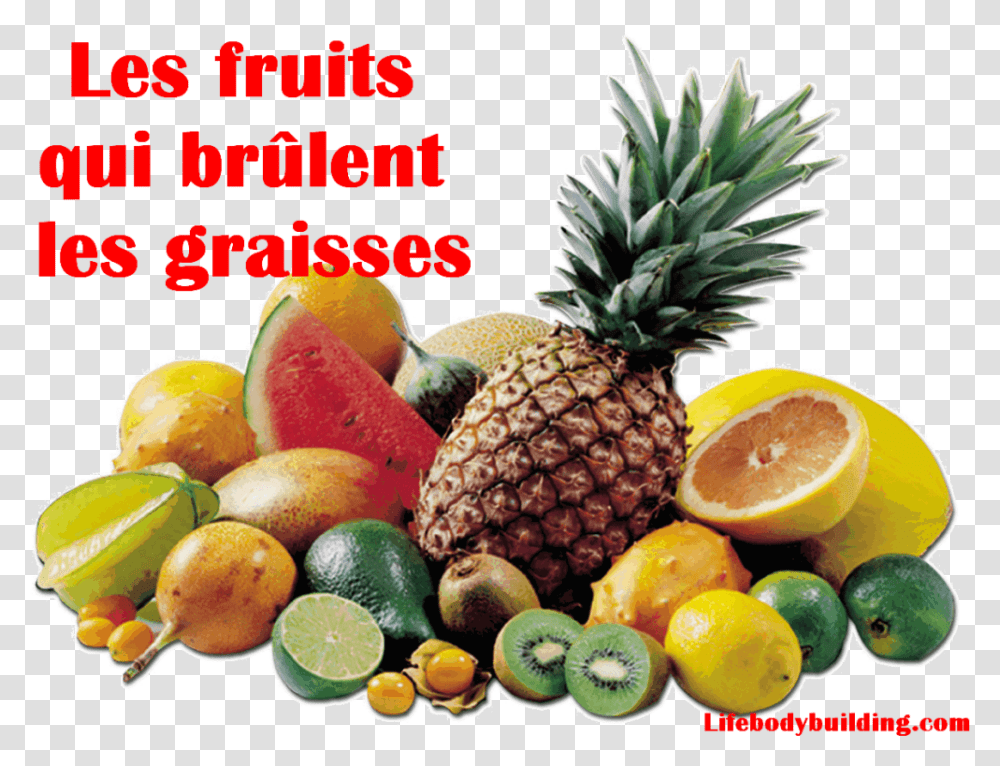 Fruit Brule Graisse Ananas Un Rgime Pour Perdre Du Comment Bruler Les Graisses, Plant, Food, Pineapple, Citrus Fruit Transparent Png