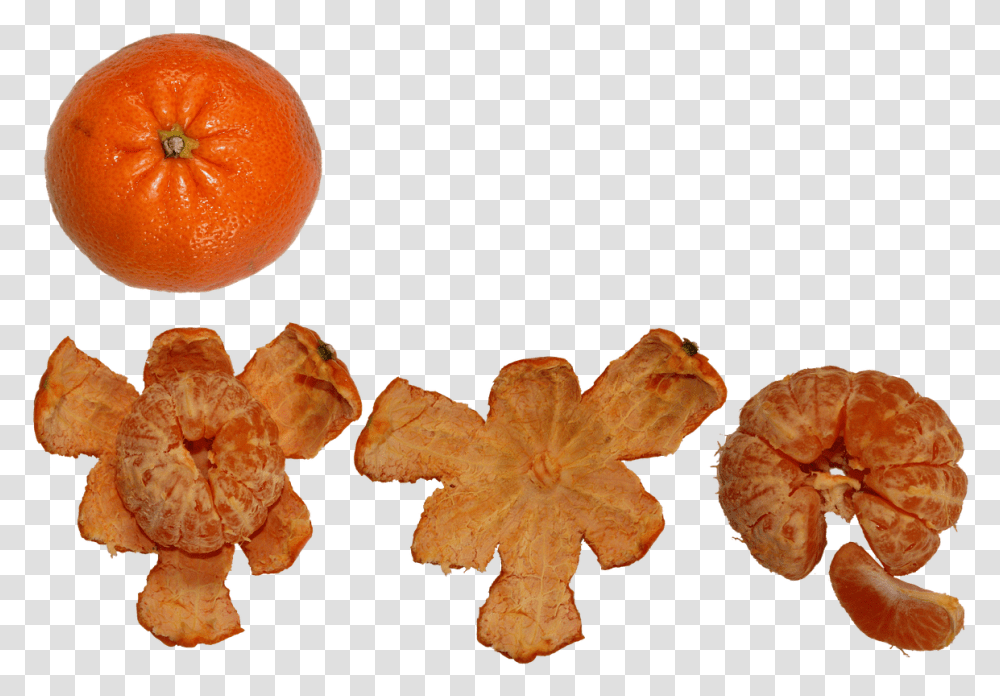 Fruit Citrus Healthy Fresh Mandarin Orange, Plant, Citrus Fruit, Food, Fungus Transparent Png