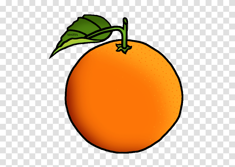 Fruit Clip Art, Plant, Citrus Fruit, Food, Orange Transparent Png