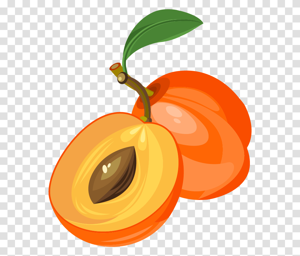 Fruit Clip Art, Plant, Food, Apricot, Produce Transparent Png