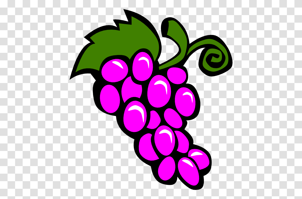 Fruit Clip Art, Plant, Grapes, Food, Dynamite Transparent Png