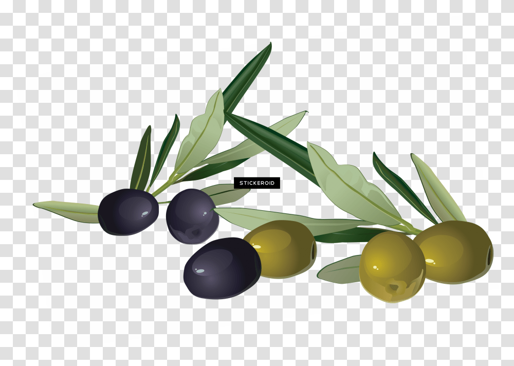Fruit Clipart Mediterranean Cuisine Oil Food Olive, Plant, Citrus Fruit, Lime, Blueberry Transparent Png