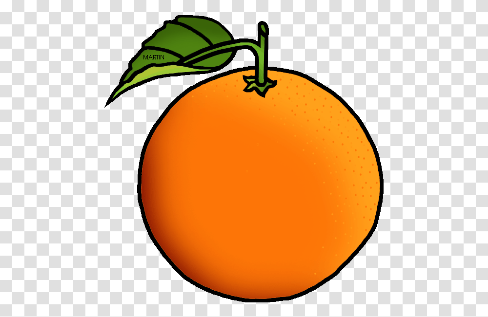 Fruit Clipart Orange Orange Clipart, Plant, Citrus Fruit, Food, Produce Transparent Png