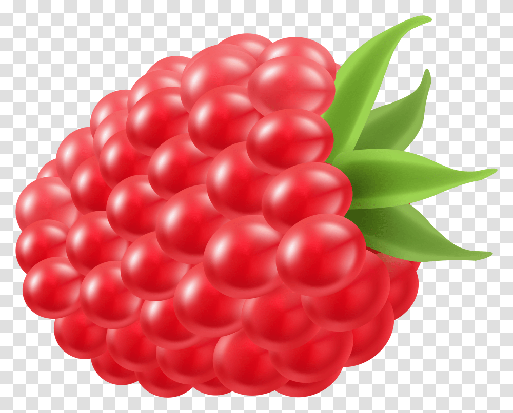 Fruit Clipart Raspberry Background Clipart Raspberry Transparent Png