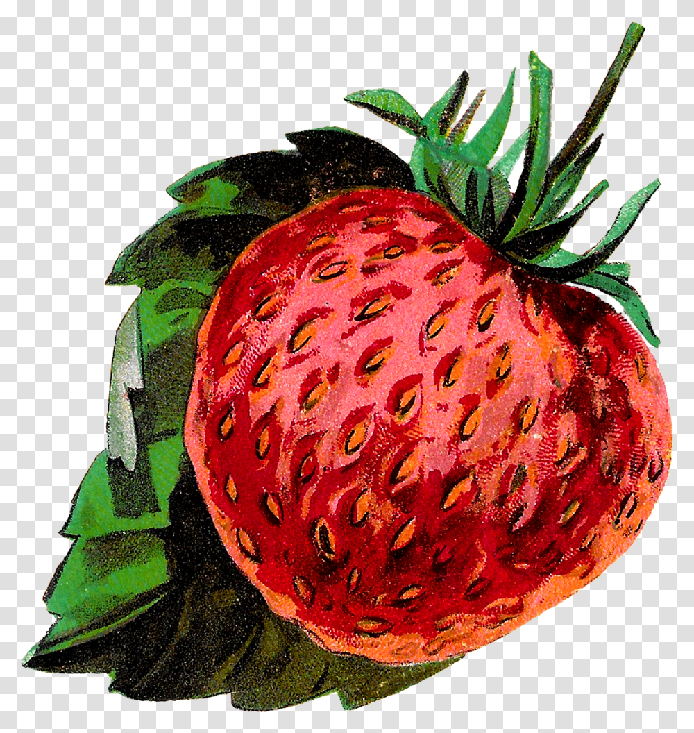 Fruit Clipart, Strawberry, Plant, Food, Fungus Transparent Png