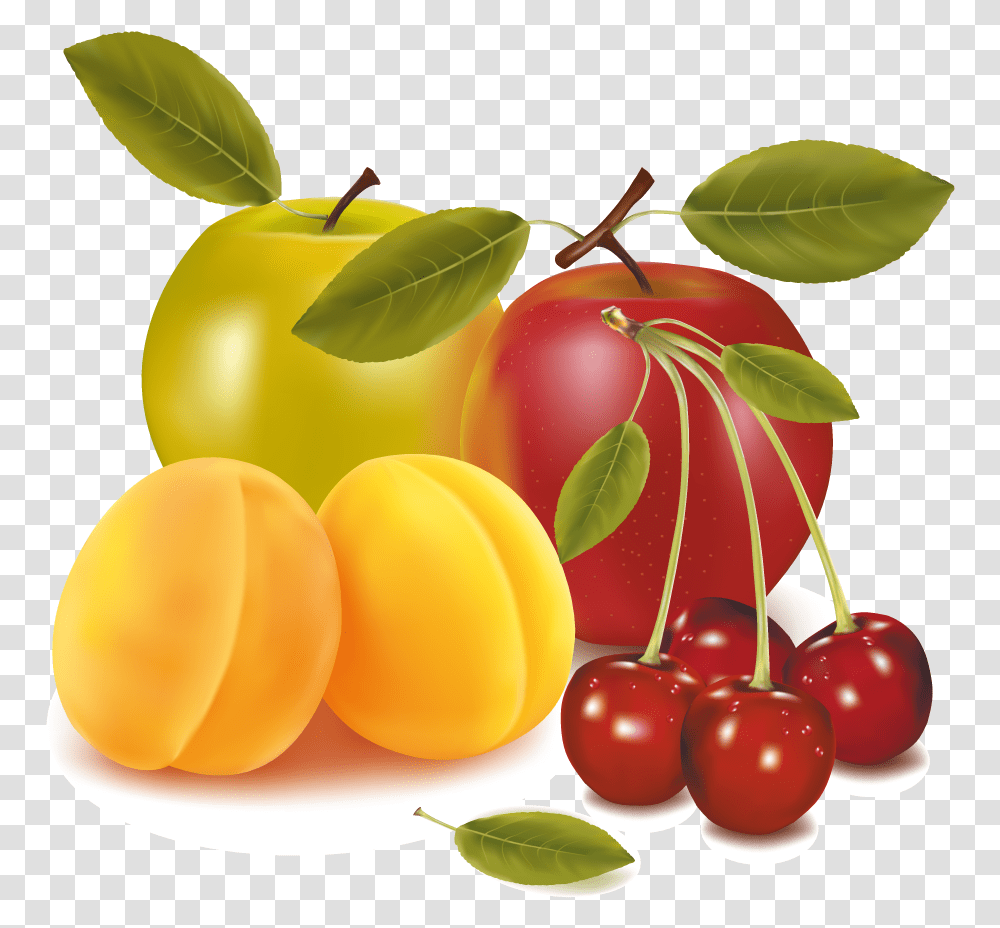 Fruit Drawing Clip Art Oxalic Acid Use In Agri, Plant, Food, Produce, Cherry Transparent Png