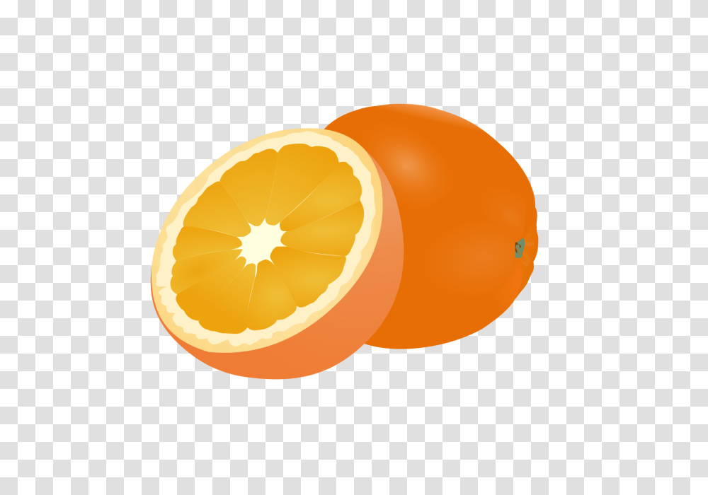 Fruit Drawing Clipart Orange Fruit Logo Set Clipart Exquisite, Citrus Fruit, Plant, Food, Grapefruit Transparent Png
