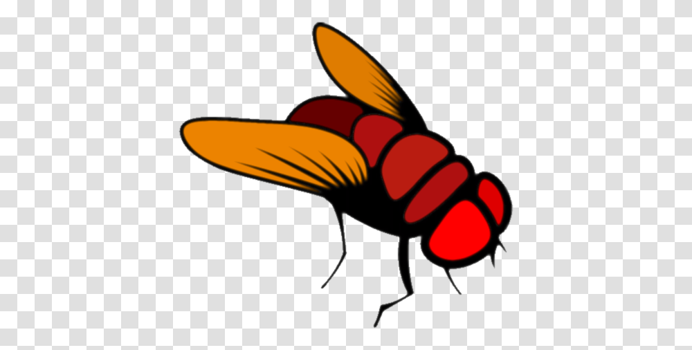 Fruit Fly Cartoon Image House Fly Cartoon, Insect, Invertebrate, Animal, Wasp Transparent Png
