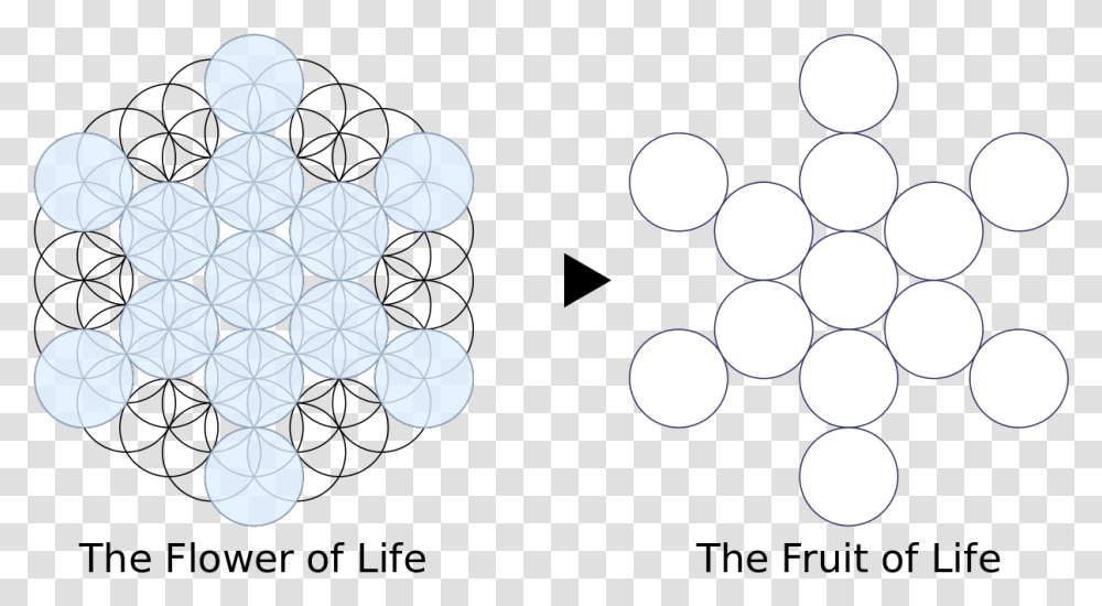 Fruit Fruit Of Life Tree Of Life, Text, Alphabet, Texture, Pattern Transparent Png
