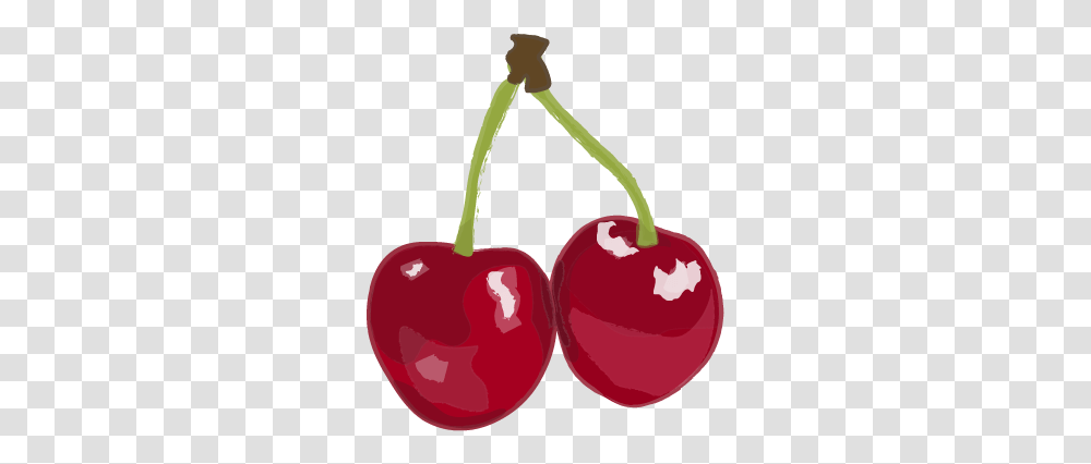 Fruit Illustrations Ii Superfood, Plant, Cherry Transparent Png